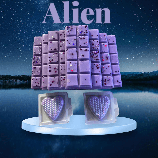 The Designer Fragrance collection, Wax Melt Snap Bar 