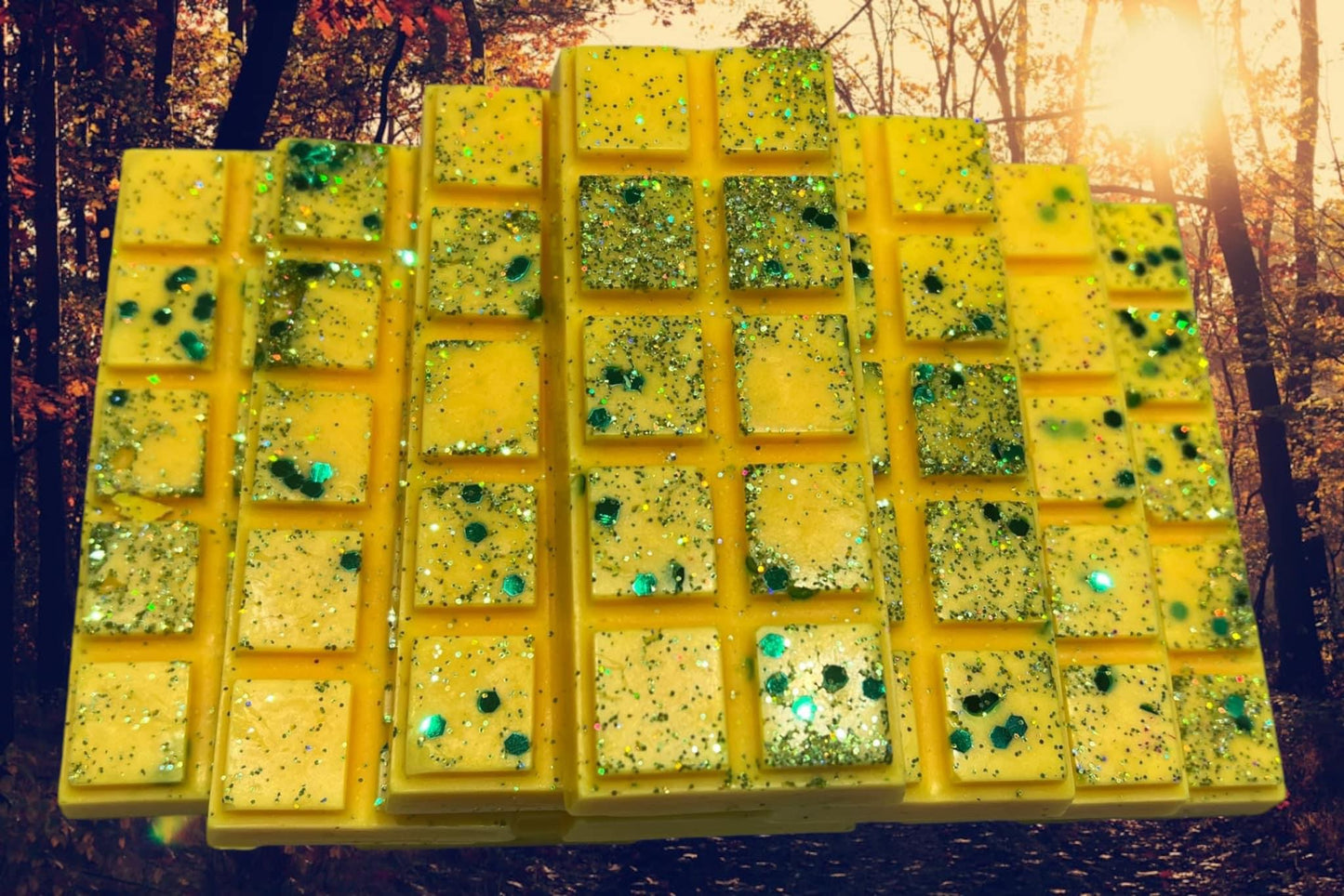 Seasonal Wax Melt Snap Bars