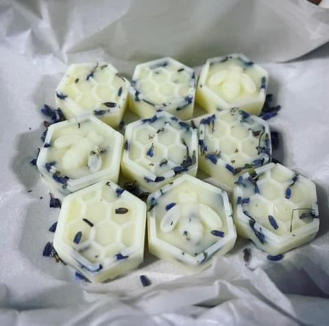 Special Wax Melts